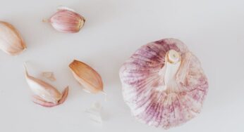 마늘의 효능과 주의할 점 살펴보기