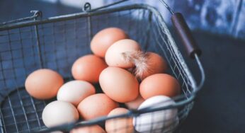 콜레스테롤 낮추는 방법과 간수치 높은 이유 알아보기