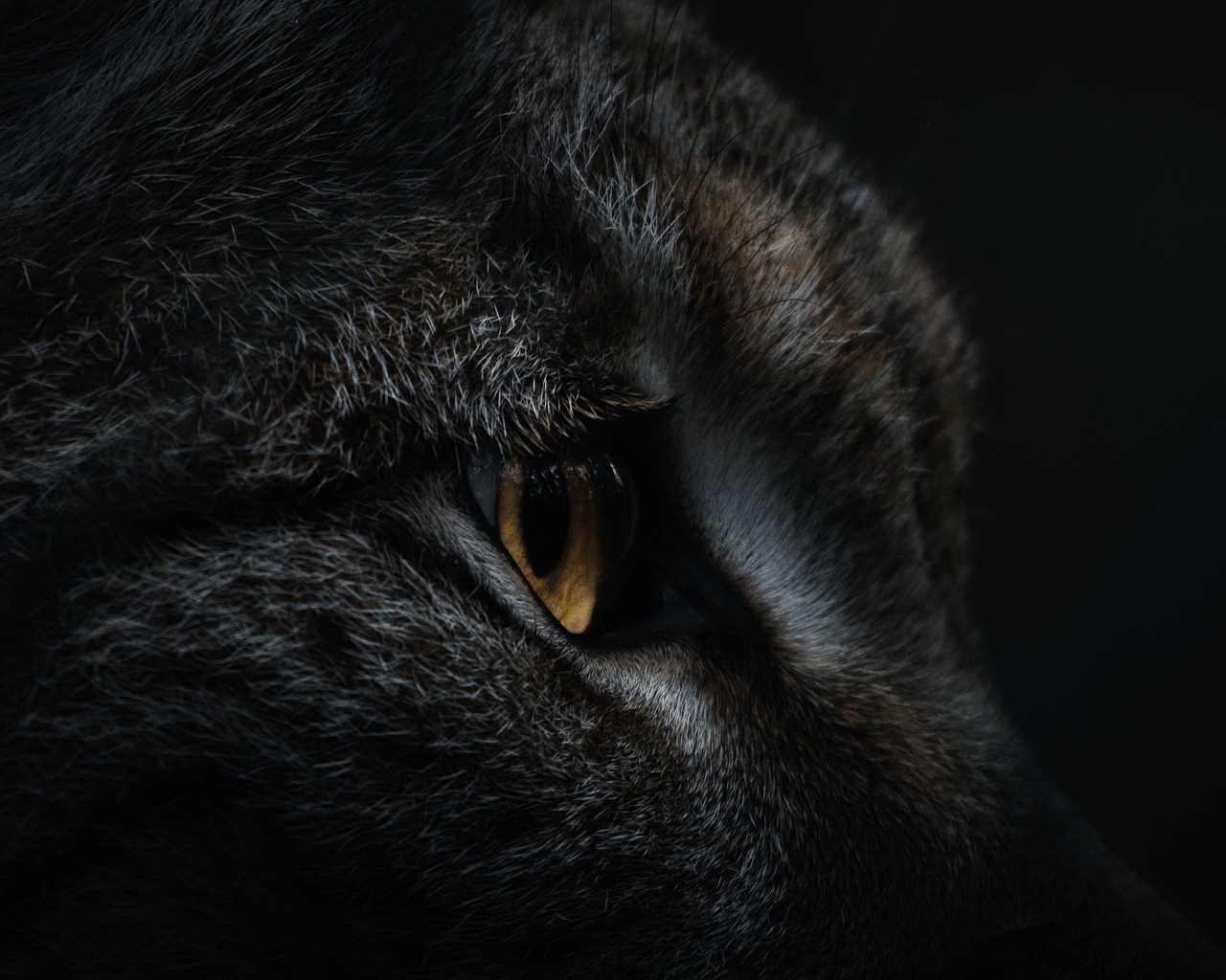 피스타치오 효능 및 부작용