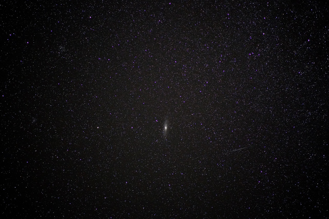 우유 효능 알고 있나요